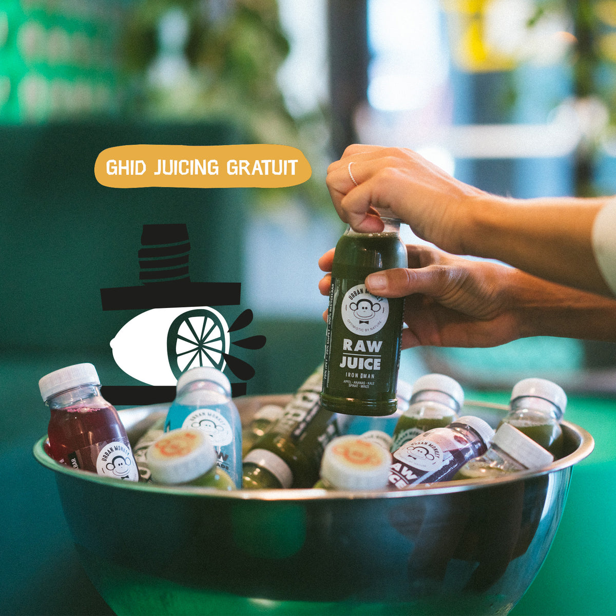 Programe Juicing Urban Monkey