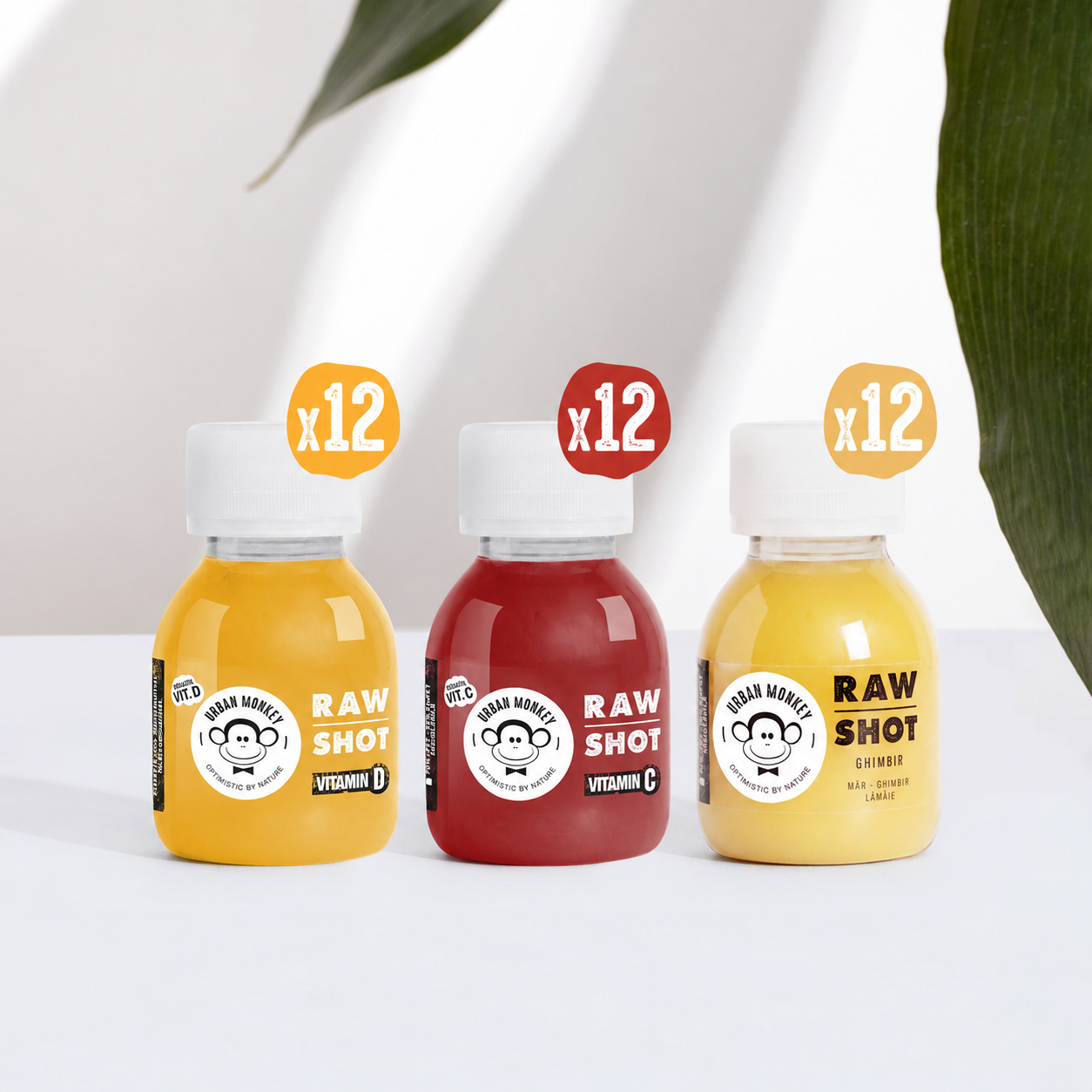 Shots Routine Box 12 Ghimbir 12 Vitamina C 12 Vitamina D3