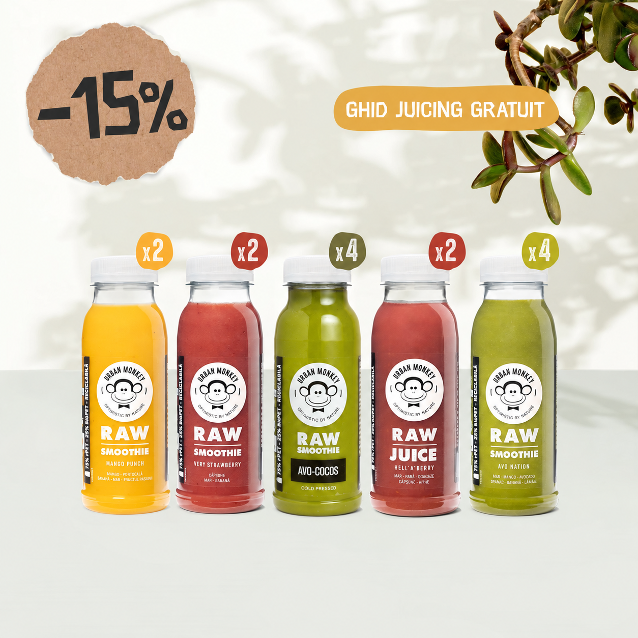 Program Juicing 2 Zile Urban Monkey cu Avo-Cocos, reducere 15%