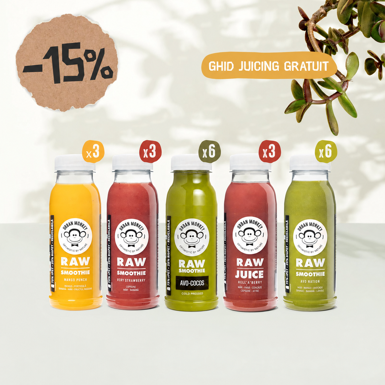 Program Juicing 3 Zile Urban Monkey cu Avo-Cocos, reducere 15%