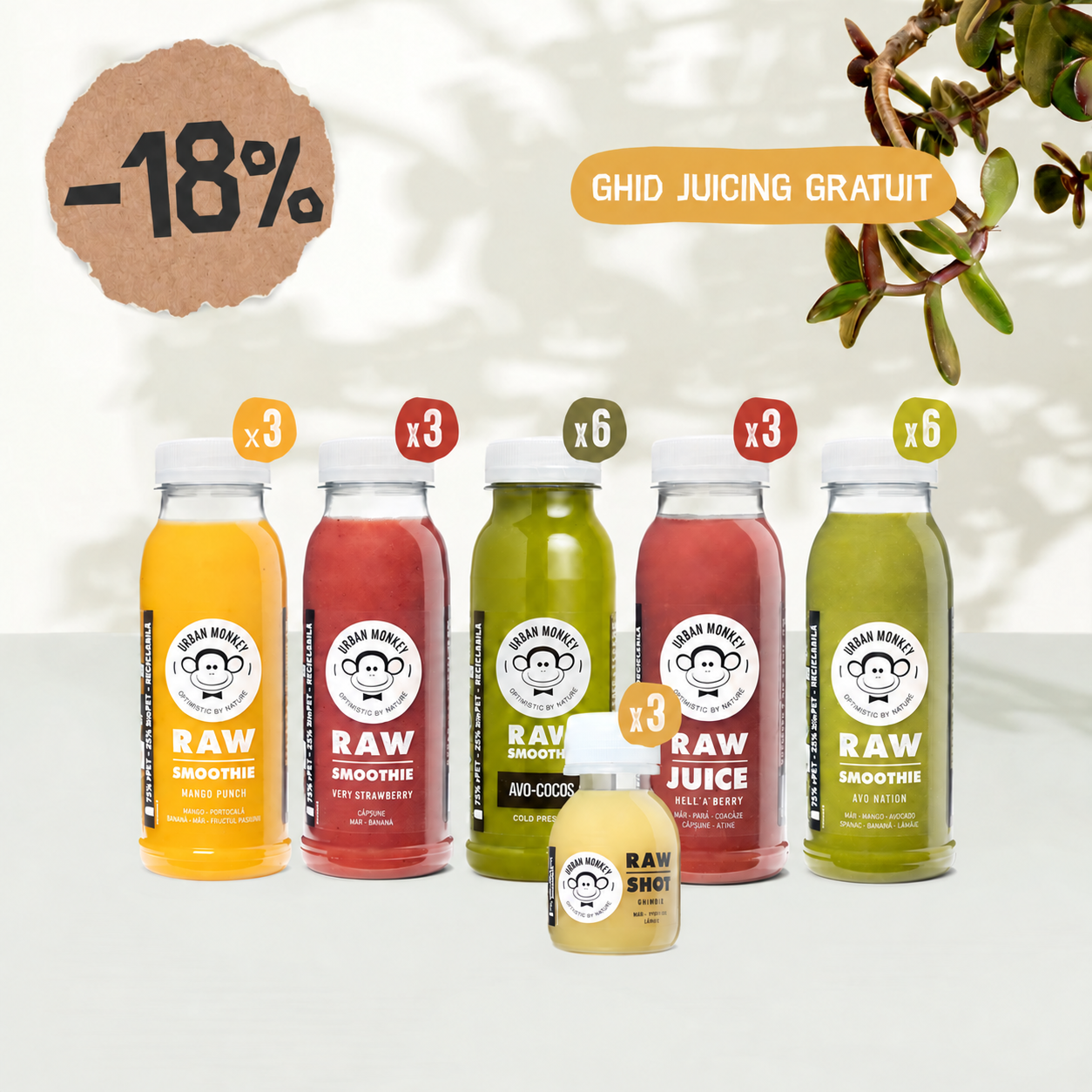 Program Juicing 3 Zile Plus Urban Monkey cu Avo-Cocos, reducere 18%